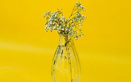 Elemeği Doğal Mum Yapıpmı